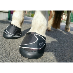 Chausson CAVALLO