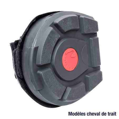 Chausson CAVALLO