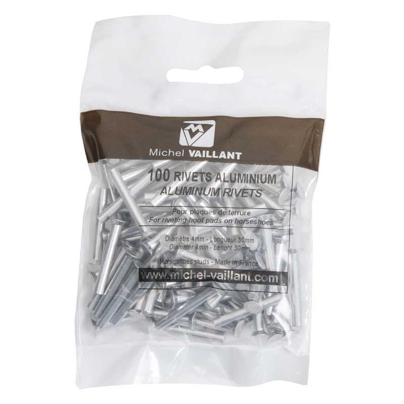 Sachet 100 Rivets en alu pour plaques