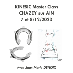 Formation Kinesic Master...