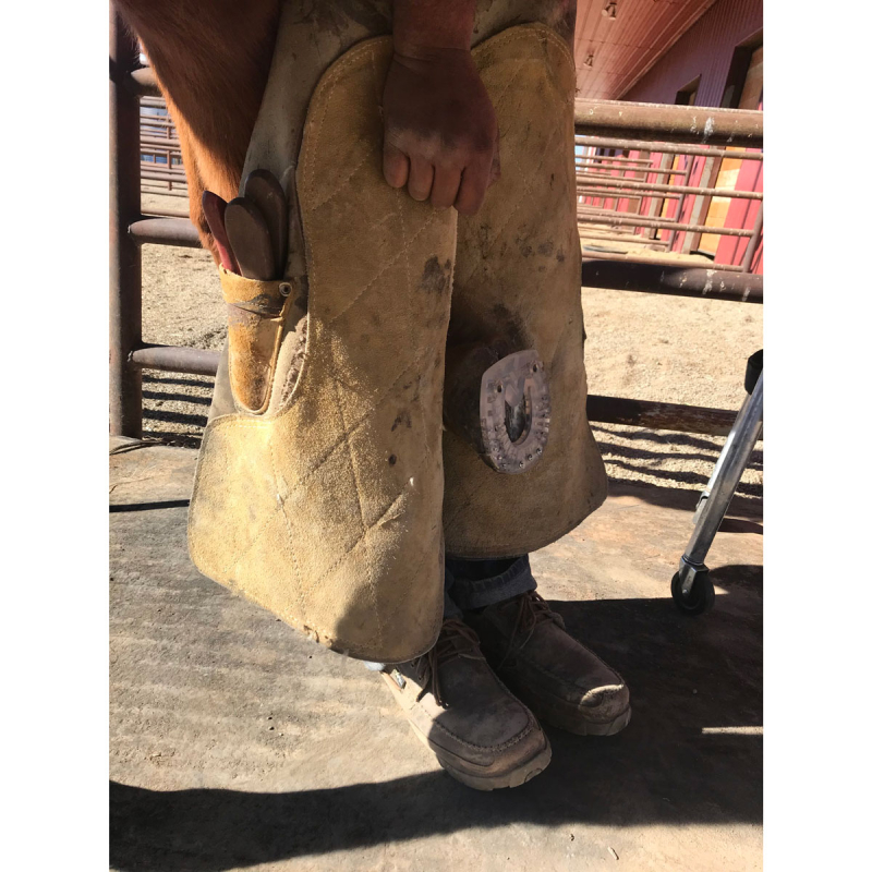 Fer CARRÉstep Standard - EasyShoe Versa Grip