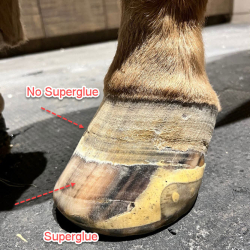 EasyShoe Quick Set Super Glue