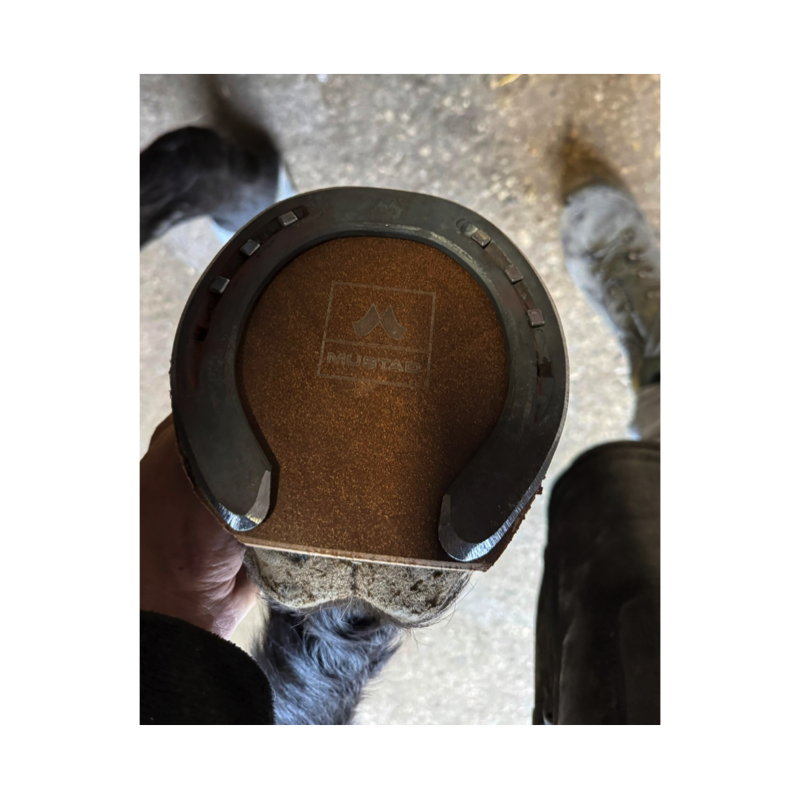 Plaque Natural No shock Mustad