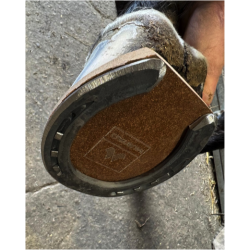 Plaque Natural No shock Compensé Mustad