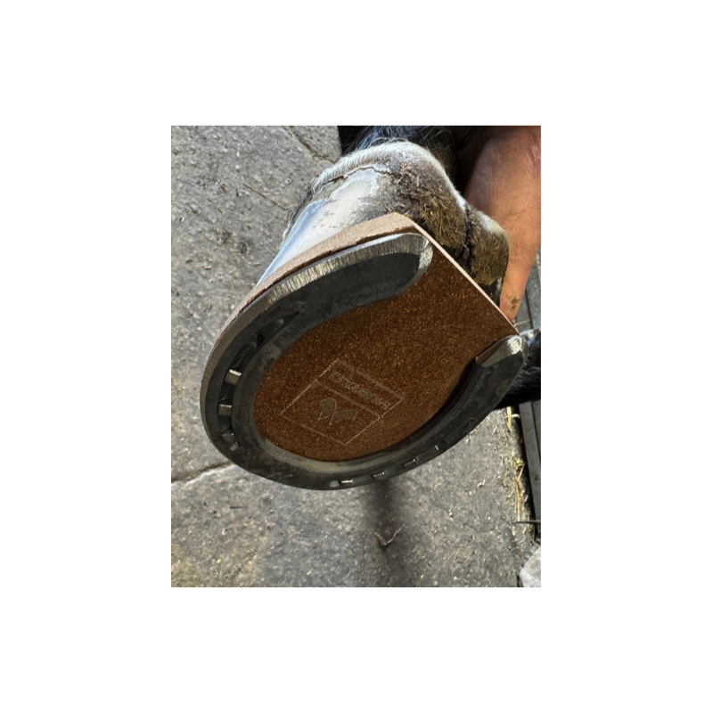 Plaque Natural No shock Compensé Mustad