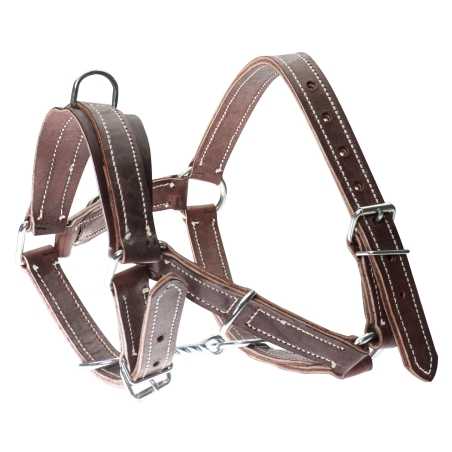 Licol Big Leather MICHEL VAILLANT