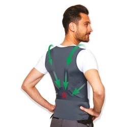 Gilet de protection du dos...