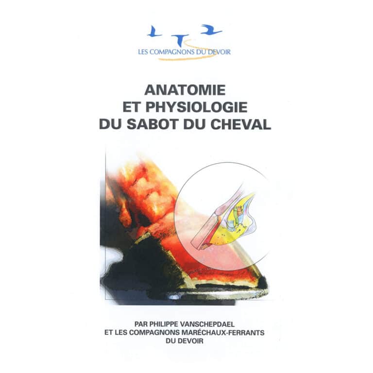 Anatomie du pied du cheval