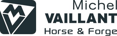 LOGO MICHEL VAILLANT