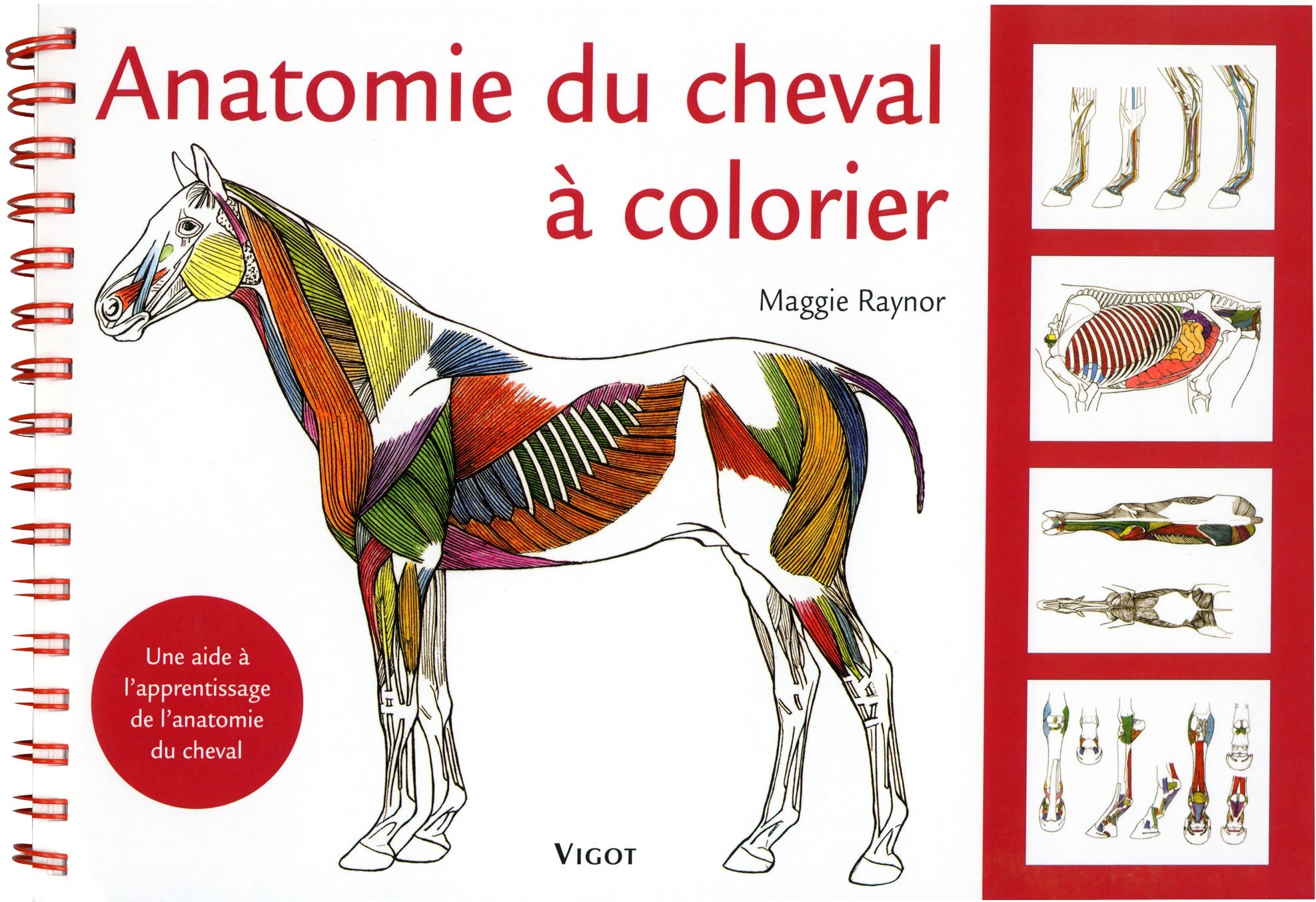 ANATOMIE DU CHEVAL À COLORIER - M. Raynor, livre sur les chevaux